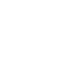fast charging icon