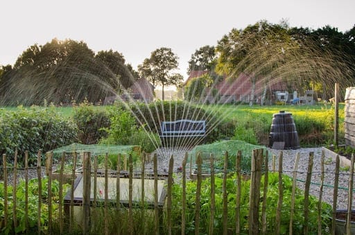 Sprinkler system of green garden in sunset