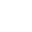 overnight delivery icon