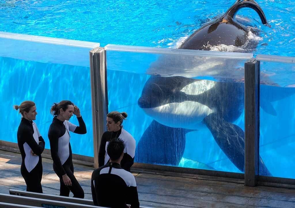 aquarium