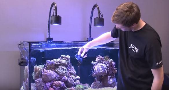 man with fish tank
